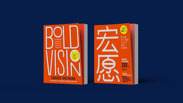 About Bold Vision